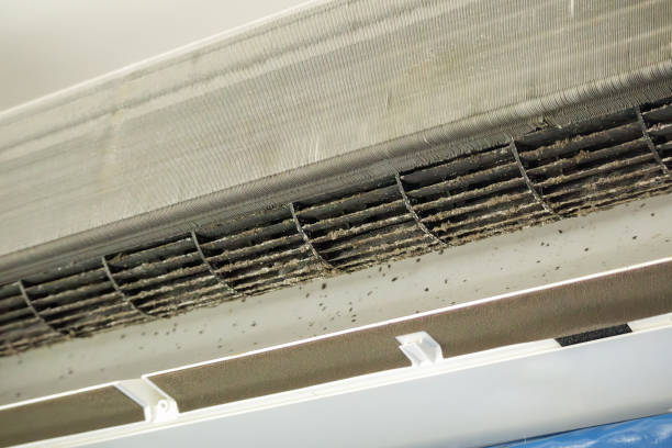 Best Affordable Duct Cleaning Services  in Lackland Af, TX